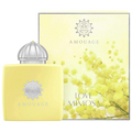 Amouage Love Mimosa Eau de Parfum da donna 100ml scatolato in Stile 100ML